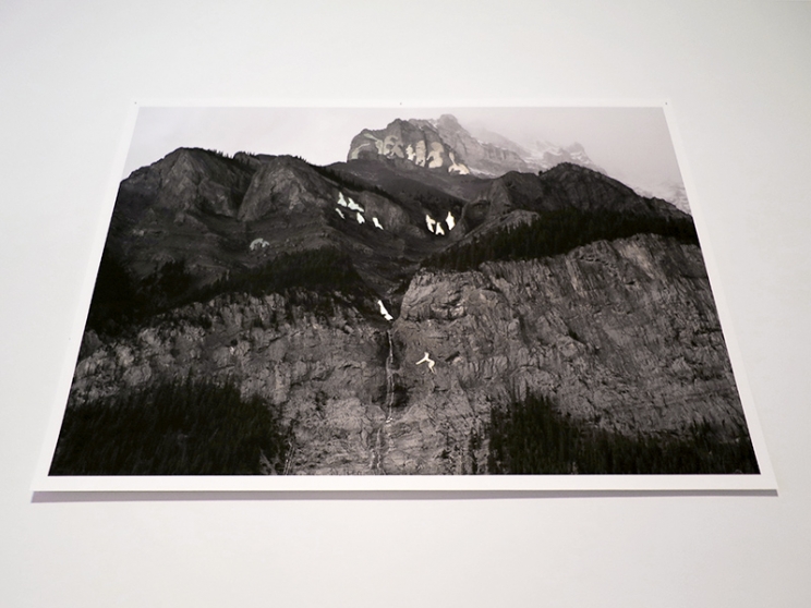 https://owa.mirunadragan.com/files/gimgs/th-12_GGallery_Mountain_web.jpg