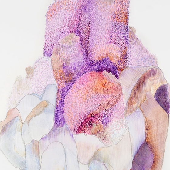 https://owa.mirunadragan.com/files/gimgs/th-23_Erratics-Draw3-detail-web_v2.jpg